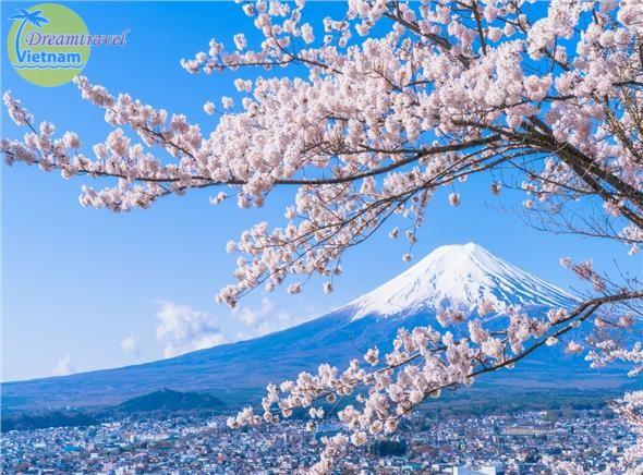 Tokyo-Osaka-Núi Phú Sĩ-6 ngày Hành Trình Vàng (Mùa Hoa Anh Đào 2018) Tokyo-Osaka-Núi Phú Sĩ-6 ngày Hành Trình Vàng (Mùa Hoa Anh Đào 2018)